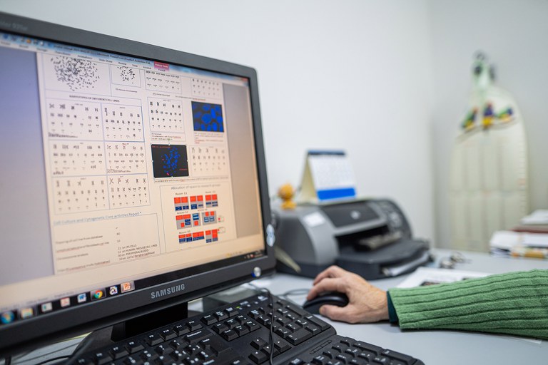 Cell Culture and Cytogenetics 03874.jpg
