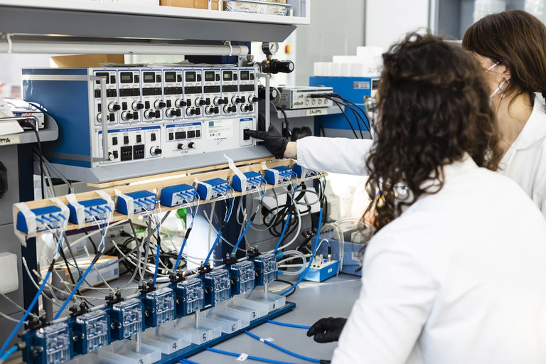 Electrophysiology8376.jpg