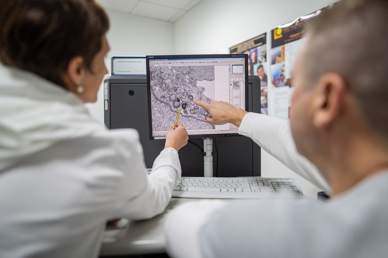 Microscopy3543.jpg