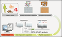 MS phospho workflow.png