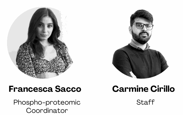 MS team-2.png