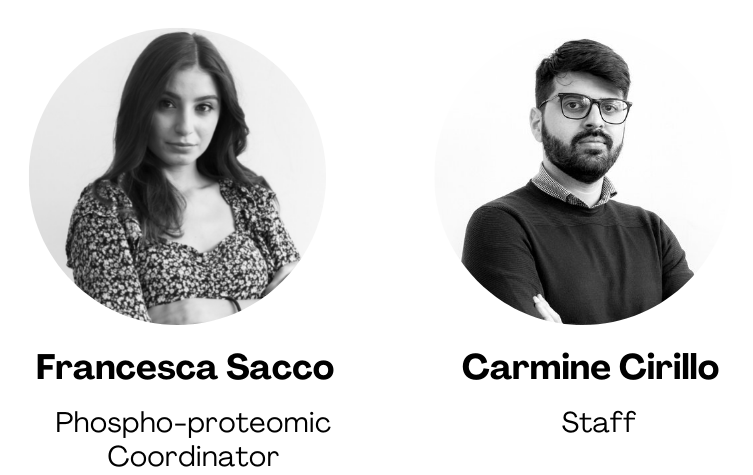 MS team-2.png