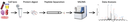 MS workflow.png