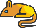 5. GAM colored.png