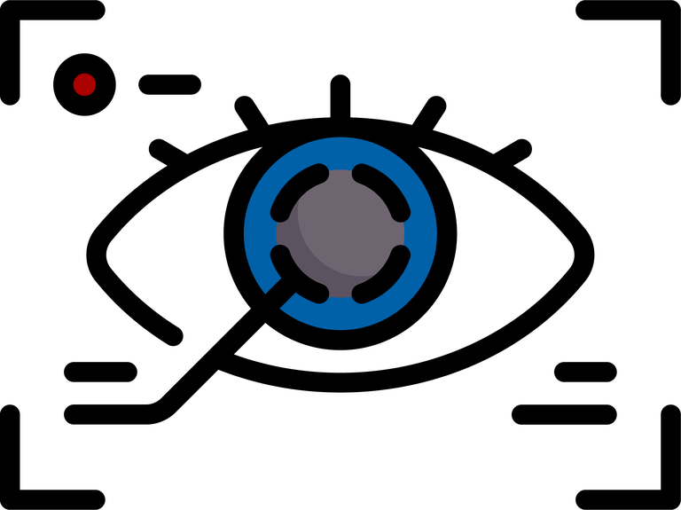 9. Retinal Phenotyping colored.png