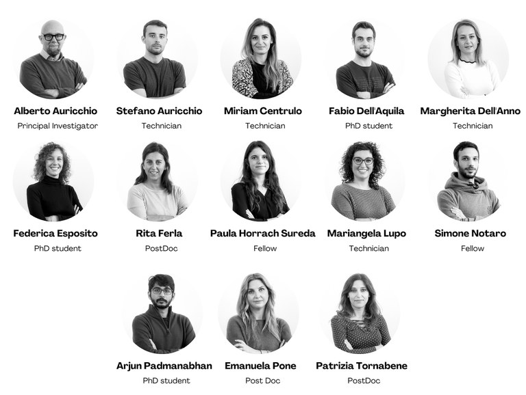 Auricchio-group-1.jpg