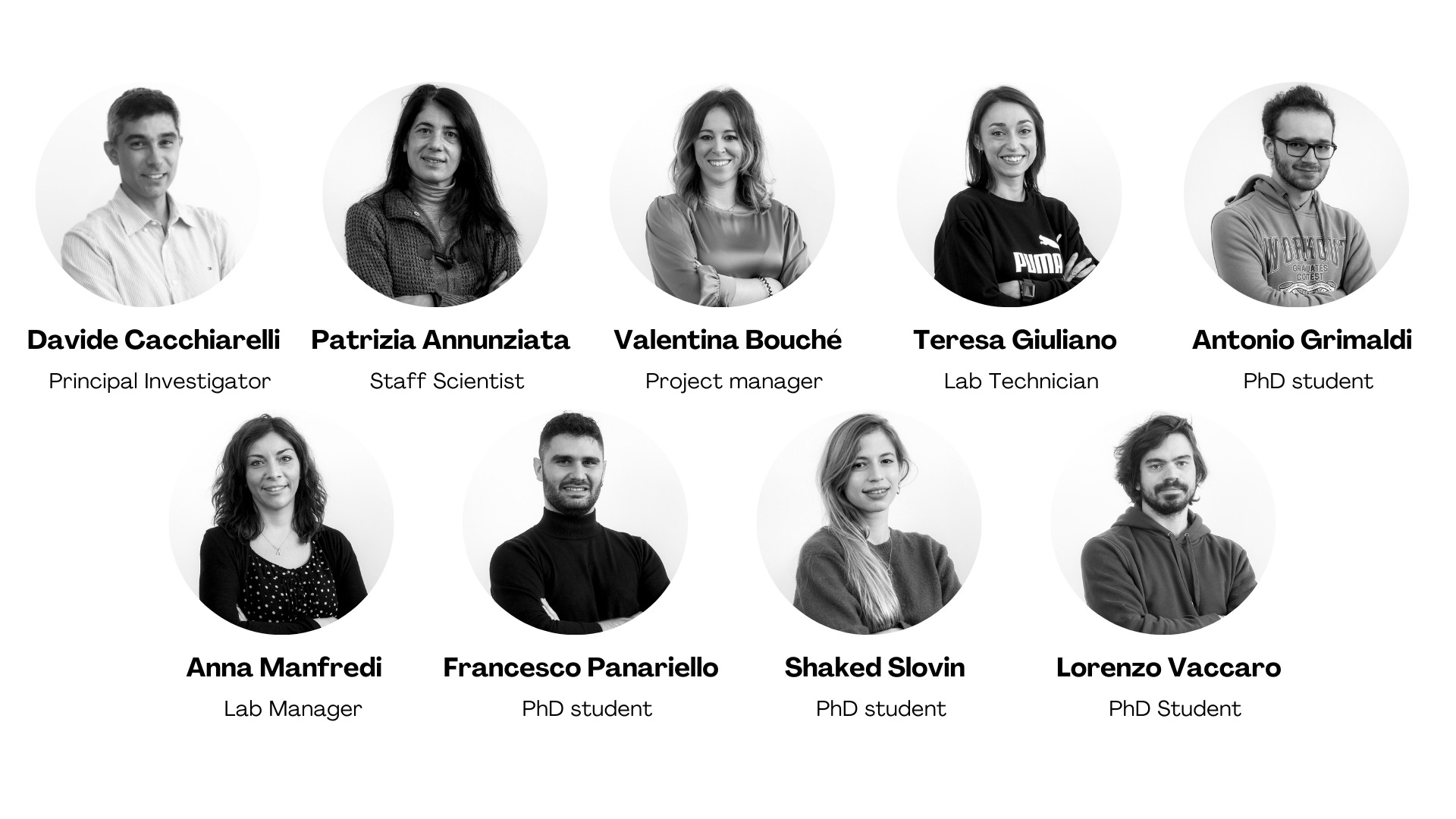 Cacchiarelli-Group-1.png
