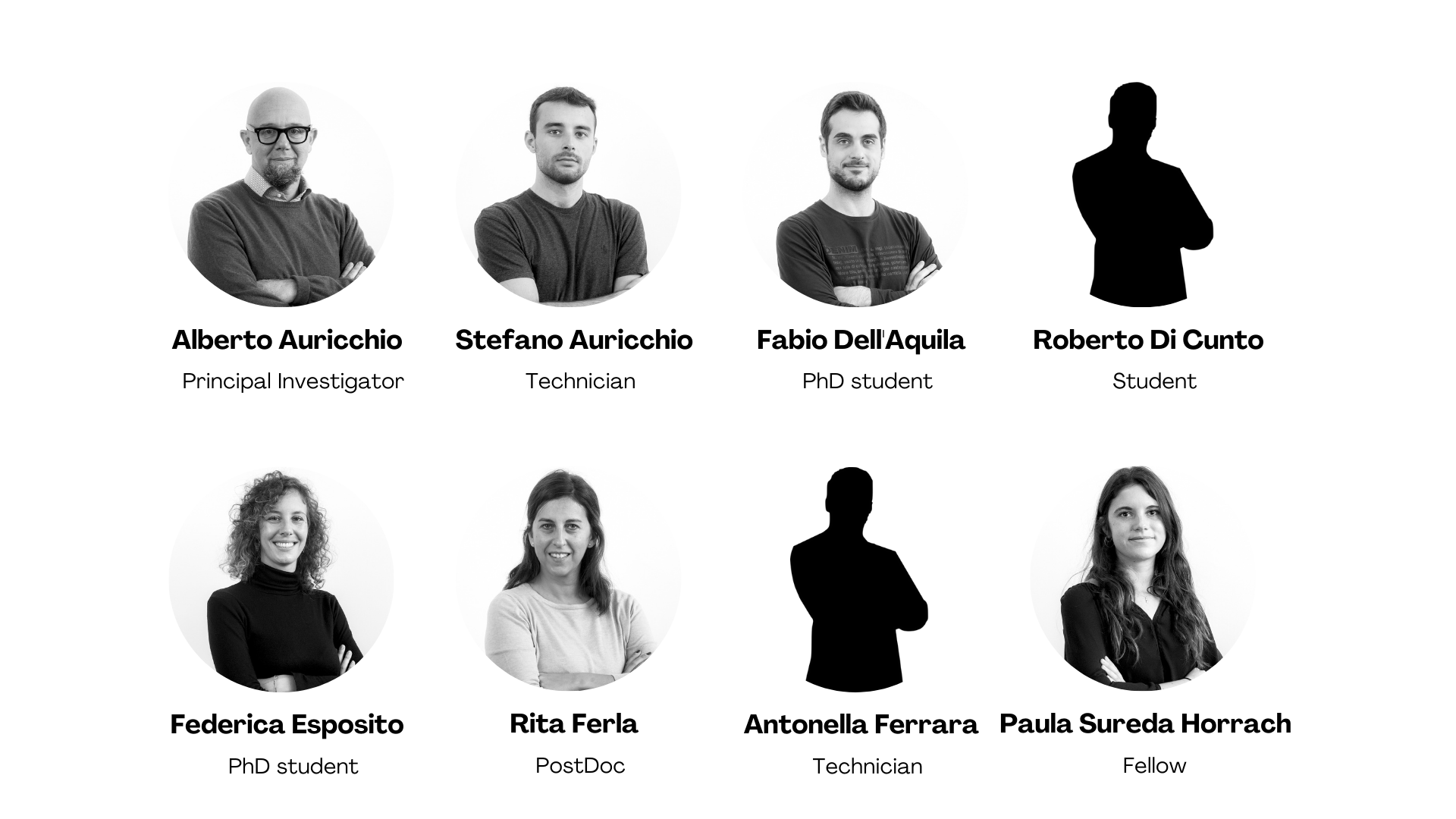 Gruppo Auricchio 1.png