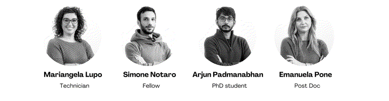 Gruppo Auricchio 2.png
