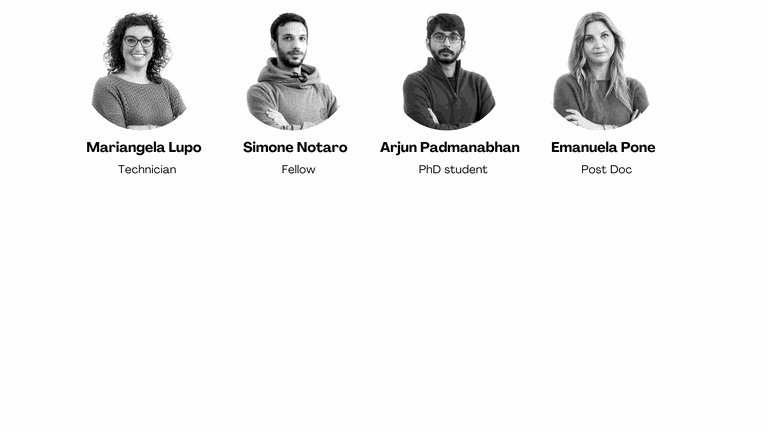 Gruppo Auricchio 2.png