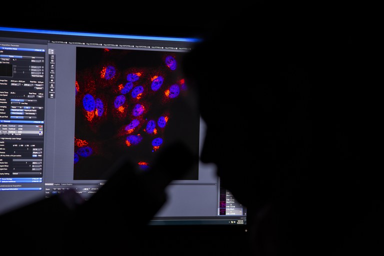 Microscopy1.jpg
