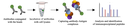 MS-facility-pic2.png