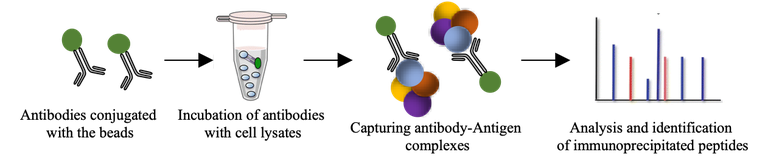 MS-facility-pic2.png