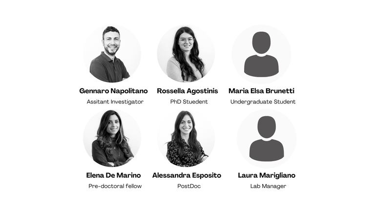 Napolitano-group.png