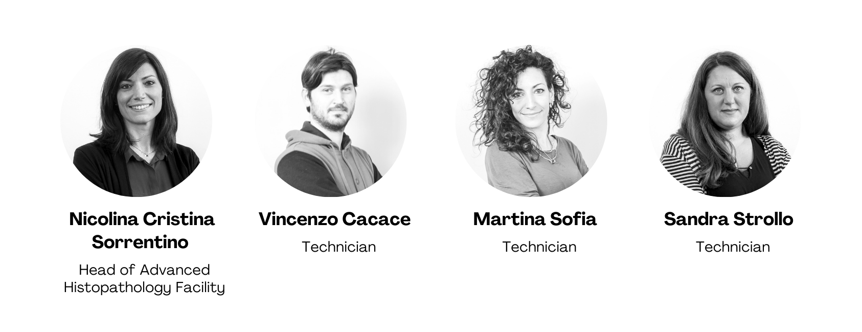 Sorrentino Group.png