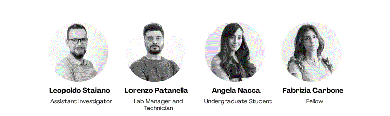Staiano Group-1.png
