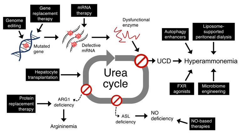 HMG UCD review_Fig. 1_29.03.19.jpf