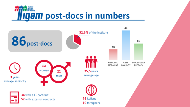 Post Doc in numbers.png