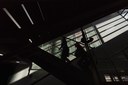 TIGEM stairs.jpg